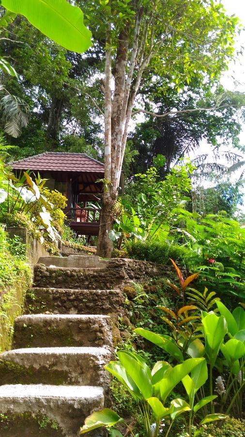 Bali Jungle Resort Tegallalang  Exterior foto